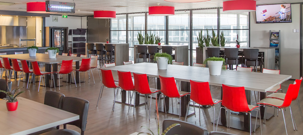 Our Latests Projects